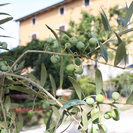 B&B Al Frantoio คิอูซี ภายนอก รูปภาพ