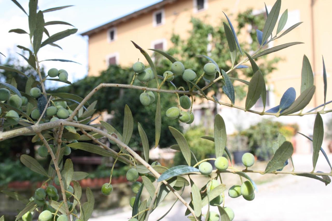 B&B Al Frantoio คิอูซี ภายนอก รูปภาพ